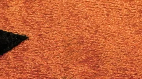 Stock Video Orange Smiley Pumpkin Plushie Live Wallpaper - Free Live Wallpaper
