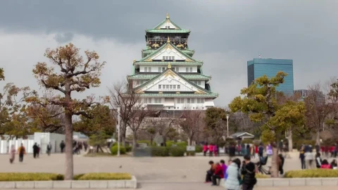 Stock Video Osaka Old Temple Time Lapse Live Wallpaper - Free Live Wallpaper