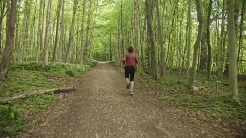 Stock Video Out For A Run Live Wallpaper - Free Live Wallpaper