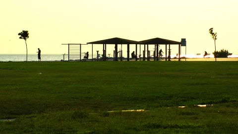 Stock Video Outdoor Gym In A Garden Near The Sea Live Wallpaper - Free Live Wallpaper