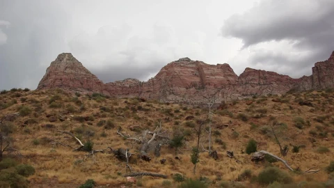 Stock Video Overcast Day In A National Park Live Wallpaper - Free Live Wallpaper