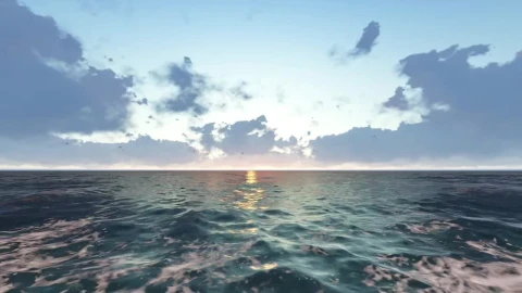 Stock Video Pacific Sea In D With Birds In A Sunset Live Wallpaper - Free Live Wallpaper