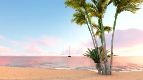 Stock Video Pacify Silver With A Palm Tree And A Boat Live Wallpaper - Free Live Wallpaper