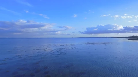 Stock Video Paddling Off Of The Coast Live Wallpaper - Free Live Wallpaper