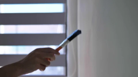 Stock Video Painting A Wall In A New House Live Wallpaper - Free Live Wallpaper