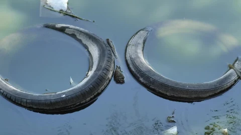 Stock Video Pair Of Old Tires Submerged In The Water Of A Live Wallpaper - Free Live Wallpaper