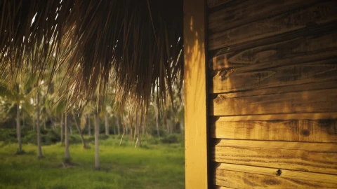 Stock Video Palapa And A Palms Garden Live Wallpaper - Free Live Wallpaper