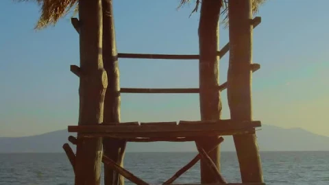 Stock Video Palm Frond Lifeguard Station Live Wallpaper - Free Live Wallpaper