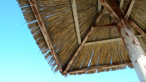 Stock Video Palm Roof On A Sunny Day Live Wallpaper - Free Live Wallpaper
