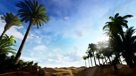 Stock Video Palm Trees In Oasis In The Egyptian Desert Live Wallpaper - Free Live Wallpaper