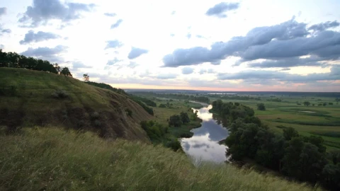 Stock Video Pan Shot In The Meadow In The Countryside Live Wallpaper - Free Live Wallpaper