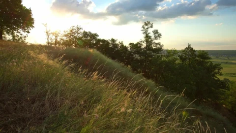 Stock Video Panoramic Shot Of A Landscape In A Valley Live Wallpaper - Free Live Wallpaper