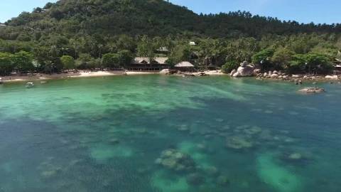 Stock Video Paradise Island With Turquoise Sea Live Wallpaper - Free Live Wallpaper