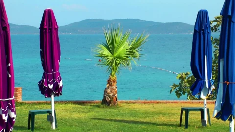 Stock Video Parasols In The Garden With Sea View Live Wallpaper - Free Live Wallpaper
