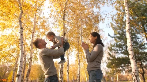 Stock Video Parents Playing With Their Little Son In The Park Live Wallpaper - Free Live Wallpaper