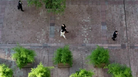 Stock Video Paris Pedestrian Path Live Wallpaper - Free Live Wallpaper