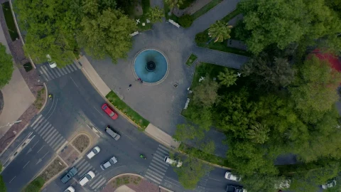 Stock Video Park Inside A Roundabout Top Shot Live Wallpaper - Free Live Wallpaper
