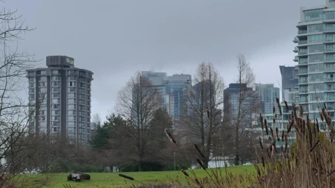 Stock Video Park Of A Big City In Autumn Live Wallpaper - Free Live Wallpaper