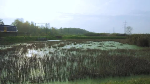 Stock Video Passenger Train In The Countryside Live Wallpaper - Free Live Wallpaper
