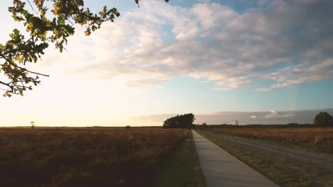 Stock Video Path In A Forest Live Wallpaper - Free Live Wallpaper