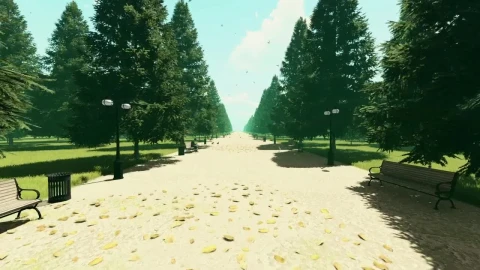 Stock Video Path In A Park With Pigeons And Trees Live Wallpaper - Free Live Wallpaper