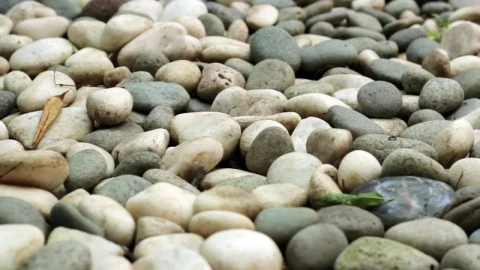 Stock Video Path Of Pebbles Live Wallpaper - Free Live Wallpaper