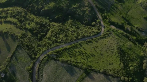 Stock Video Path Surrounded By Natural Relief Covered With Vegetation Live Wallpaper - Free Live Wallpaper