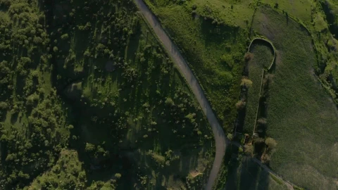 Stock Video Path That Crosses A Meadow Aerial Shot Live Wallpaper - Free Live Wallpaper