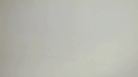Stock Video Paying Dollars To Woman Live Wallpaper - Free Live Wallpaper