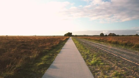 Stock Video Pedestrian Path In A Forest Live Wallpaper - Free Live Wallpaper