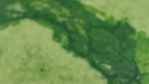 Stock Video Peel Of A Watermelon Live Wallpaper - Free Live Wallpaper