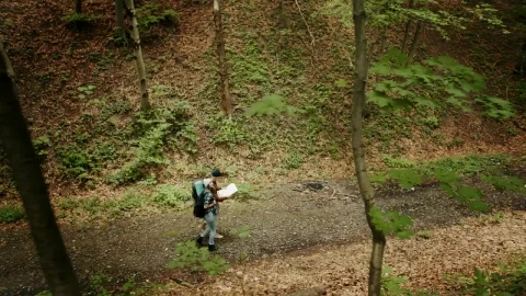 Stock Video People Exploring The Woods For Camping Live Wallpaper - Free Live Wallpaper