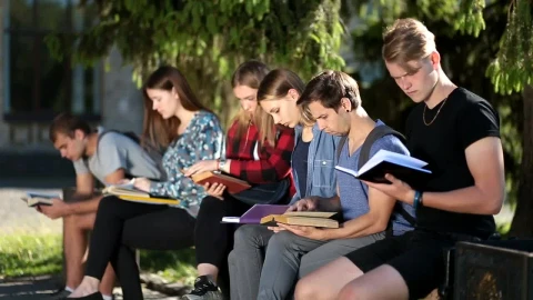 Stock Video People In A Garden Studying With Books In Hand Live Wallpaper - Free Live Wallpaper