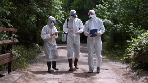 Stock Video People In Biohazard Suits Walking In The Forest Live Wallpaper - Free Live Wallpaper