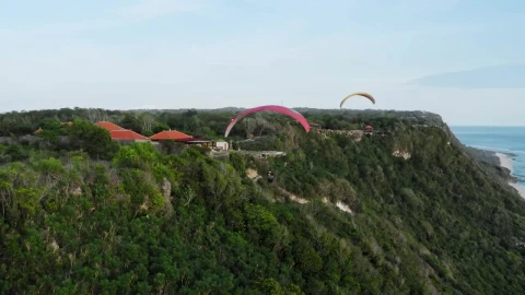 Stock Video People Practicing Parachuting Aerial Shot Live Wallpaper - Free Live Wallpaper