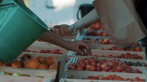 Stock Video People Selecting Fruit And Vegetables At An Outdoor Market Live Wallpaper - Free Live Wallpaper