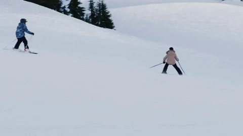 Stock Video People Skiing On The Snow Live Wallpaper - Free Live Wallpaper