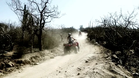 Stock Video People Using All Terrain Vehicle On A Rugged Road Live Wallpaper - Free Live Wallpaper
