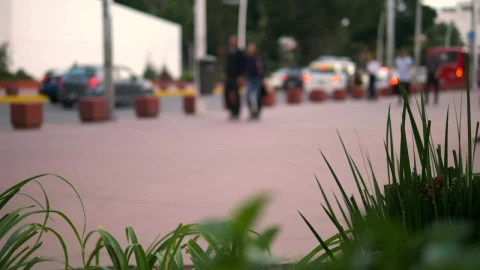 Stock Video People Walking Along The Street In Fast Motion Live Wallpaper - Free Live Wallpaper