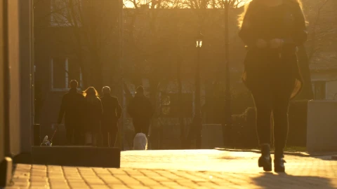 Stock Video People Walking In The Street At Sunset Live Wallpaper - Free Live Wallpaper