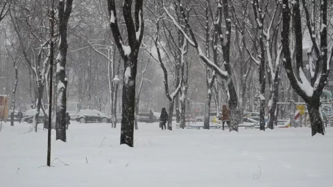 Stock Video People Walking Through Heavy Snow Live Wallpaper - Free Live Wallpaper