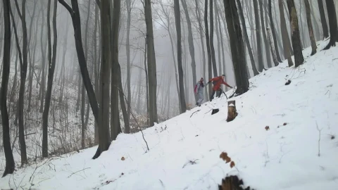Stock Video People Walking Through The Woods In Winter Live Wallpaper - Free Live Wallpaper