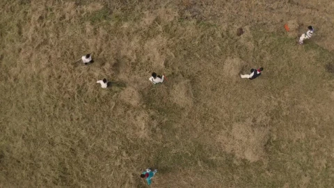 Stock Video People Working In A Field Live Wallpaper - Free Live Wallpaper