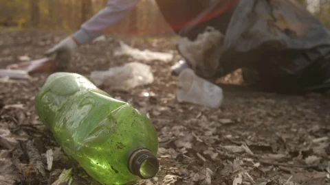 Stock Video Person Cleaning Garbage In Nature Live Wallpaper - Free Live Wallpaper