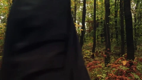 Stock Video Person Crossing A Forest Full Of Vegetation Live Wallpaper - Free Live Wallpaper