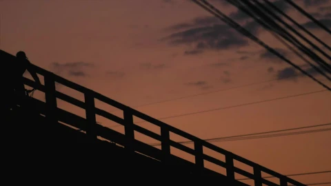 Stock Video Person Cycling On Bridge Live Wallpaper - Free Live Wallpaper