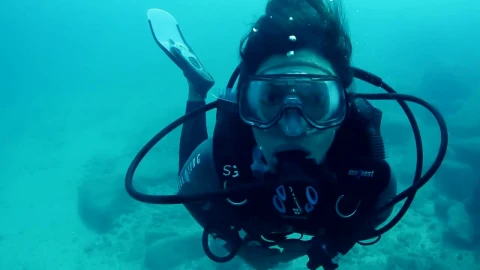 Stock Video Person Diving In A Blue Sea Live Wallpaper - Free Live Wallpaper