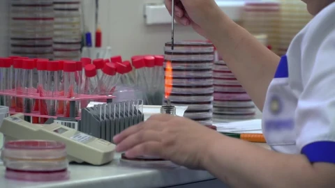 Stock Video Person Heating Samples In A Laboratory Live Wallpaper - Free Live Wallpaper