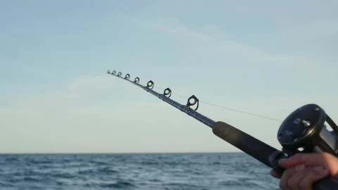 Stock Video Person Holding Fishing Rod Live Wallpaper - Free Live Wallpaper