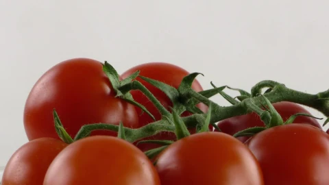 Video Stock Red Tomatoes On White Background Live Wallpaper Free - Free Live Wallpaper